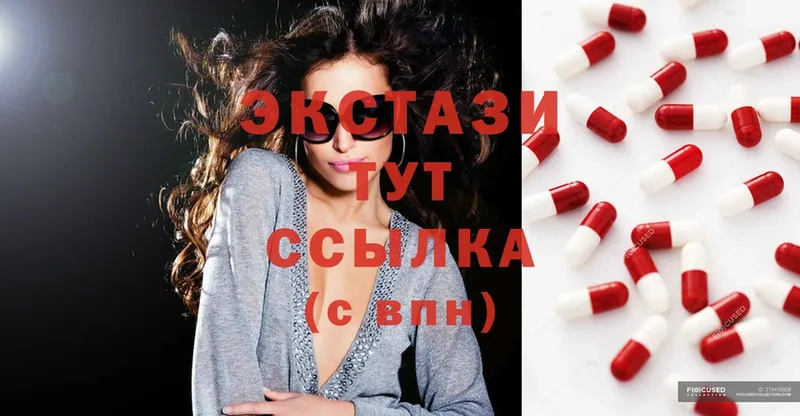 Ecstasy Philipp Plein Гороховец